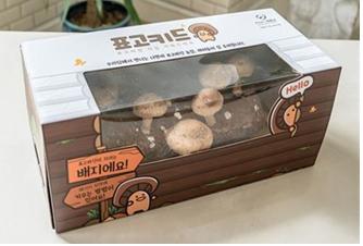 반려식물 재배(표고버섯)