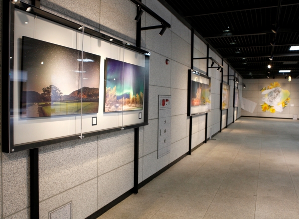 세종도시공사 BRT 공공미술전시회.