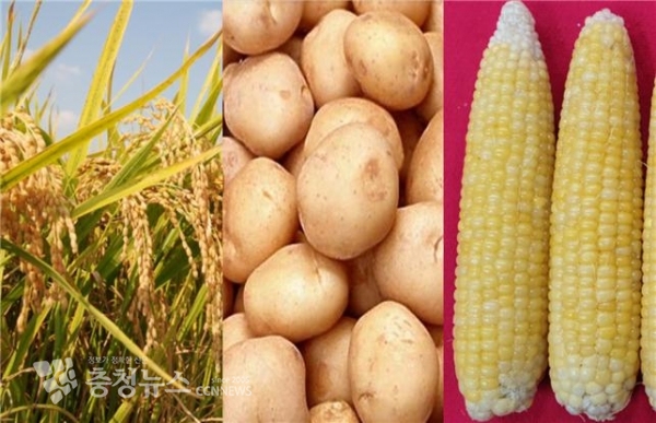 내년 농사 정부보급종으로 미리 준비하세요!