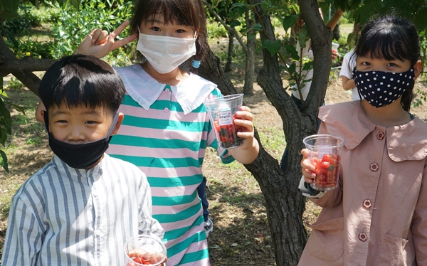 앵두빌리지 Dream 페스티벌