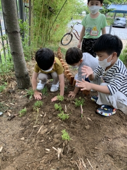 미르유치원 숲생태교육 활동 모습