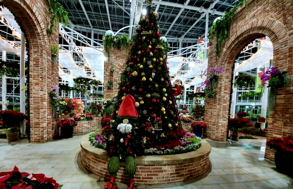 사계절전시온실 특별전시온실 내부 크리스마스트리