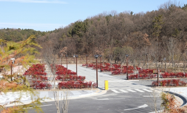 하기숲 캠핑장 모습