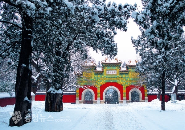 베이징식물원 와불사(불교사원)