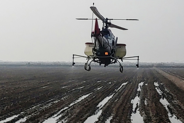 무인헬기 방역실시