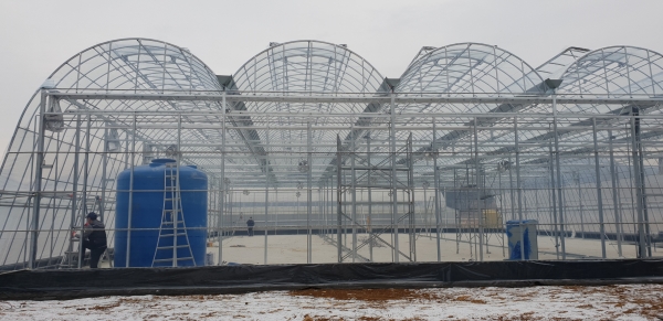 2020년 벼 어린모 기계 이앙 소식재배 시범사업 자동육묘장’