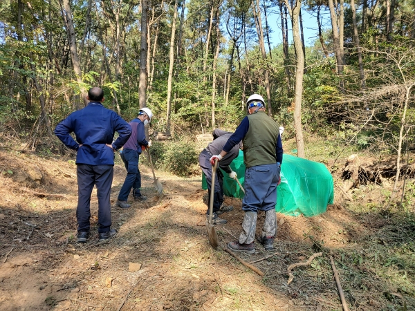 산림보호 분야 근무 장면