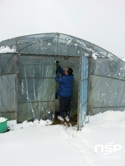 비닐하우스 제설작업 모습