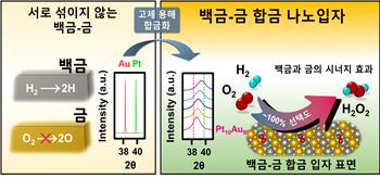 금-백금 나노입자 합성 모식도