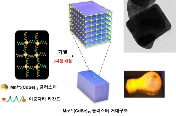 반도체 클러스터의 응집 거대구조 형성 과정