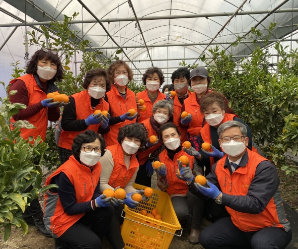 여성단체와 농촌봉사활동 진행