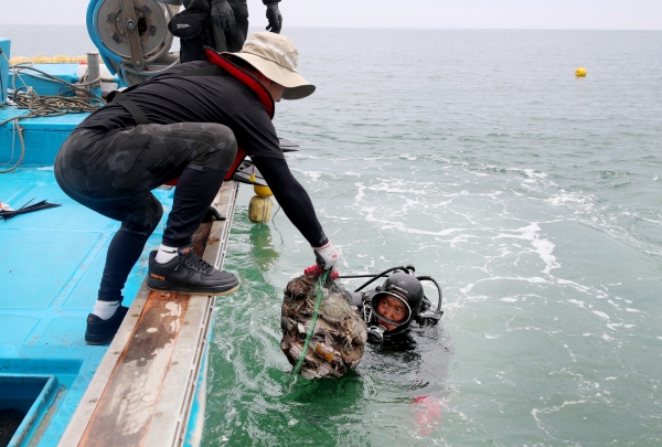 근흥면 황골항 꽃게 산란장 조성사업 모습.