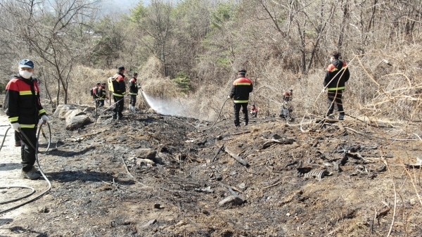 산불진화 장면