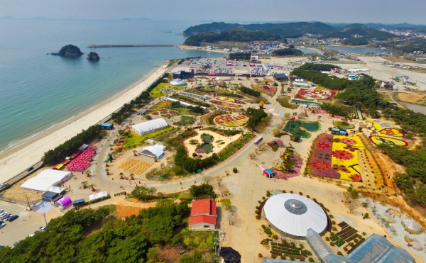 한국관광100선 안면도(코리아플라워파크 튤립축제)