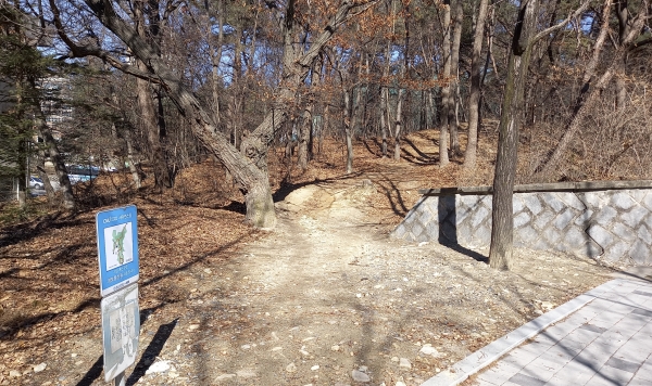 충남대 치유의 숲(정보화본부 쪽 진입로)