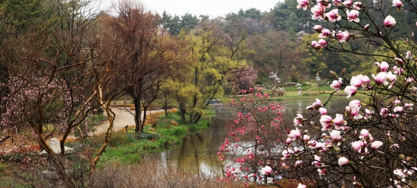 천리포수목원 (봄풍경)