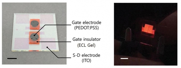 그림 2. (좌) 연구팀이 개발한 발광 스위칭 소자 사진 (실물크기: 3 cm × 3 cm)(우) 외부 직류전압 인가에 의해 빛을 방출하고 있는 소자 사진