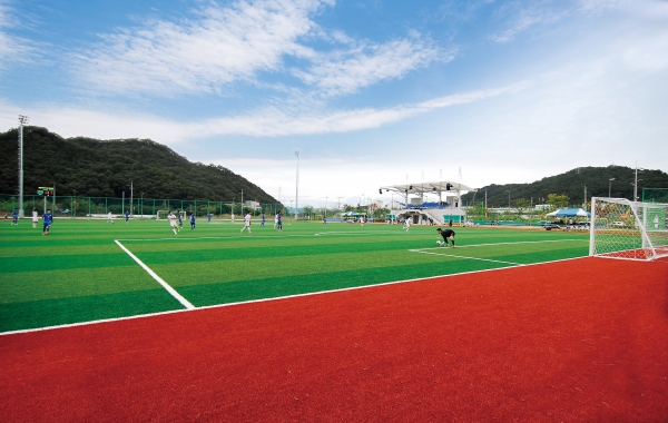안영생활체육시설단지 축구장