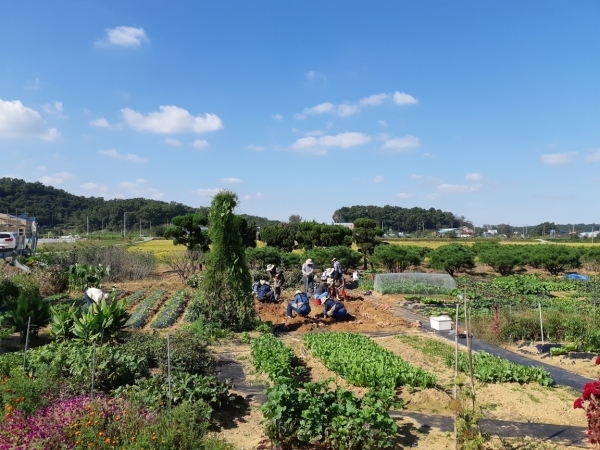 도시농업 프로그램 개설 (지난해 실습 모습)