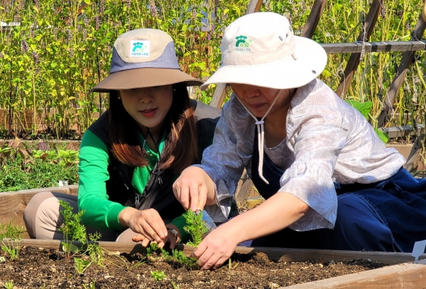 정원치유과정 프로그램