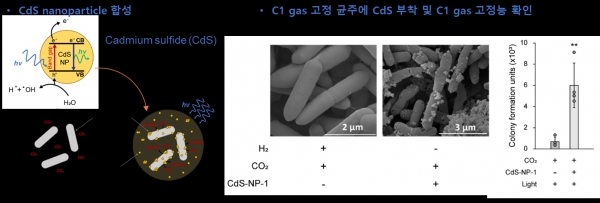 광나노입자 기반 인공광합성 시스템
