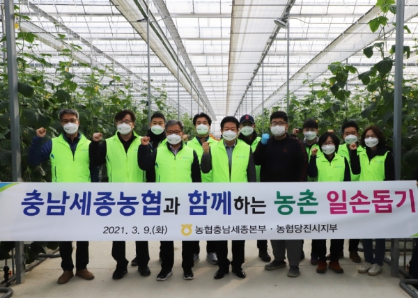 충남세종농협 길정섭 본부장(왼쪽 세번째), 석문농협 류재신 조합장(왼쪽 네번째), 농협당진시지부 조원상 지부장(왼쪽 두번째)이 위풍당당 스마트팜 농장에서 9일 일손돕기 실시