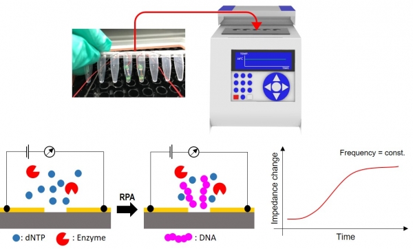 전극 분극을 감소시킨 고감도 나노갭 임피던스 센서 기반 표적 DNA 증폭 모니터링에 의한 병원체 검출 기술 개요