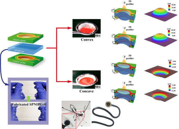 (사진) 전기장에 의해 형상이 변화하는 렌즈