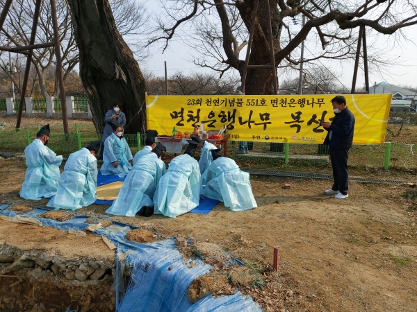 면천은행나무에 대한 목신제 개최 모습