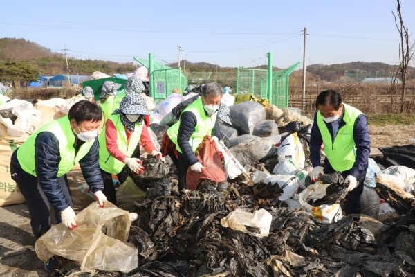 길정섭 충남세종농협본부장(왼쪽 세번째)과 김부옥 농가주부모임 충남세종연합회장(왼쪽 두번째), 임유수 세종중앙농협 조합장·농협중앙회 이사(오른쪽), 이범재 조치원농협 조합장(왼쪽) 농촌마을 환경정화를 위한 영농폐기물 분리작업을 하고 있다.