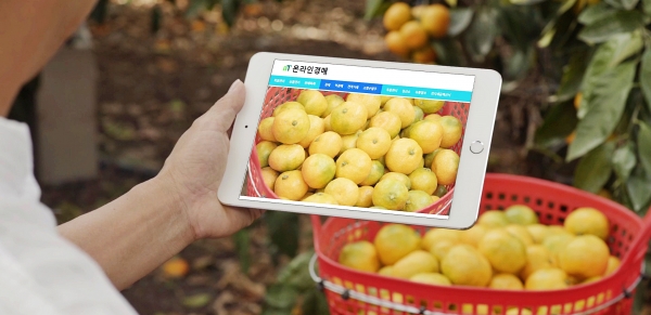 aT온라인경매 활용 이미지 사진