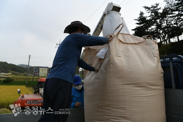 홍성군의 한 농가