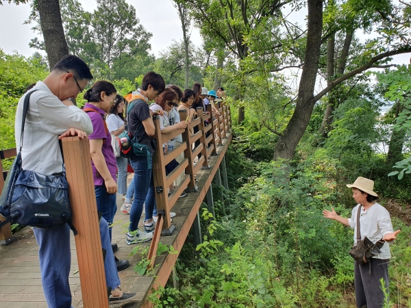 대청호 생태테마관광 프로그램, 예술가와의 산책 운영
