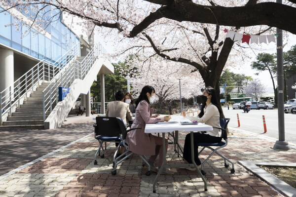 30일 배재대 대학일자리플러스본부 취업 컨설턴트들이 벚꽃이 활짝 핀 스마트배재관 앞에서 학생들을 대상으로 진로·취업상담을 하고 있다.