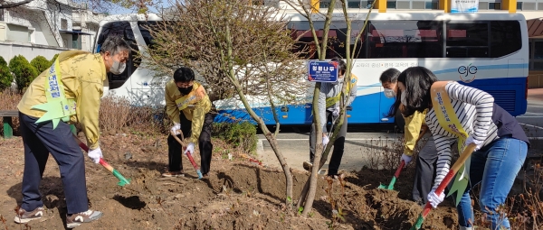 대전 서부교육지원청 식목행사 청렴나무 식재 모습.