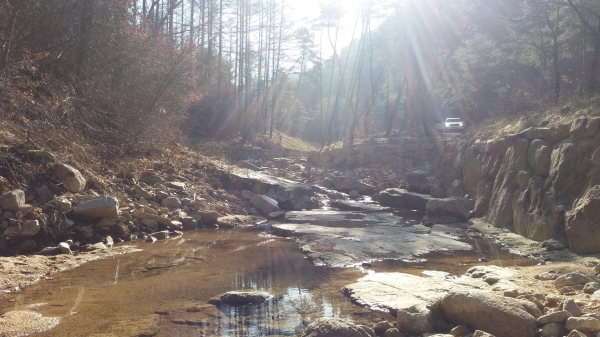 금산군 국립자연휴양림 예정지