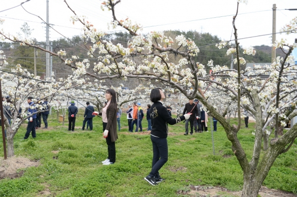 공주시 농촌 일손돕기 봉사활동 사진