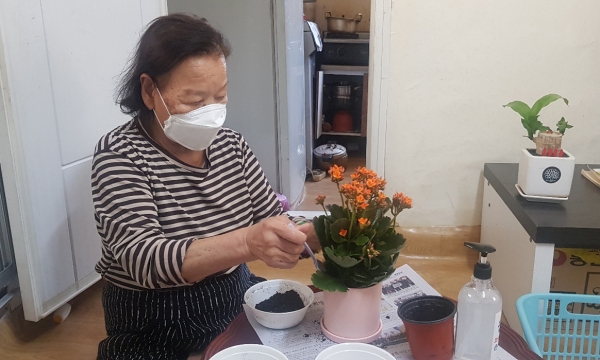 홈 취미활동(반려식물 심기 및 키움 활동)에 참여하고 있는 어르신