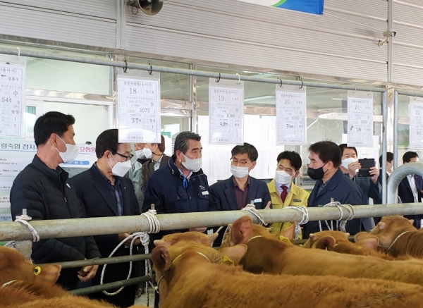 김동일보령시장 가축경매시장 방문격려 사진
