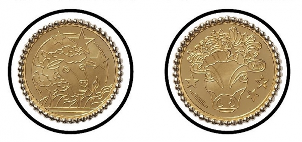 한국조폐공사 사은품 ‘별자리 그립톡’ 이미지