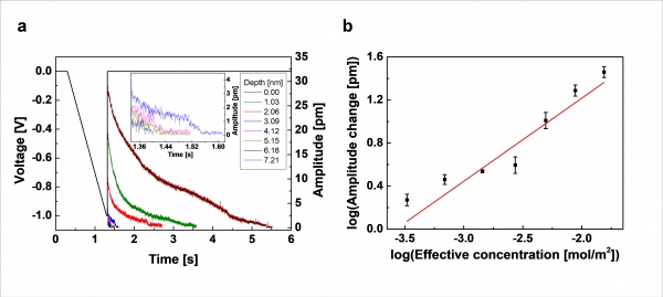 시료 깊이에 따라 가해진 삼각 직류 펄스와 펄스 종료 직후 전기화학 변위 현미경 결과 그래프