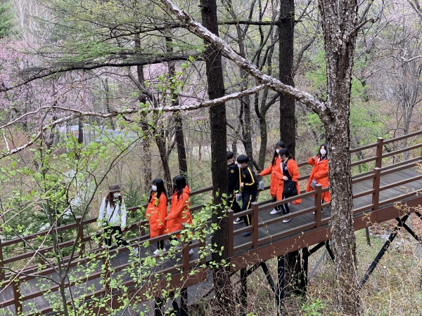 소백힐링 식치여행