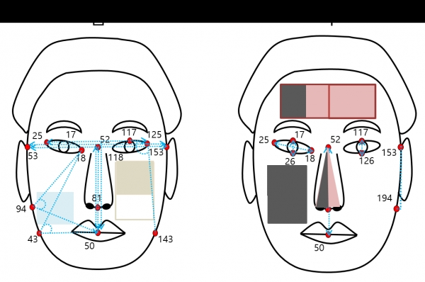 그림 2: 안면 형태 및 색상 등 특징 변수