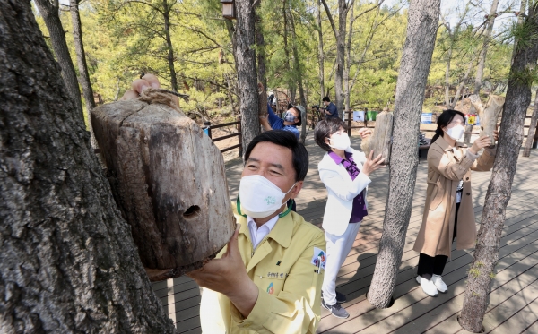 새 둥지 설치 모습 등