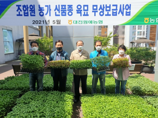 지역 농업인들을 위한 신품종 육묘 무상보급 실시