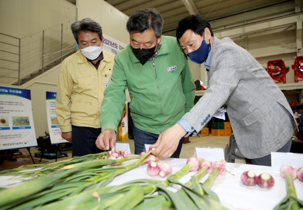 마늘분야 시범사업 평가회 개최 모습