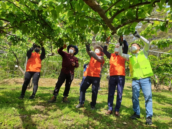 6일 대전시 유성구 계산동 배 재배 농가를 찾아 영농철 농촌일손돕기를 실시했다