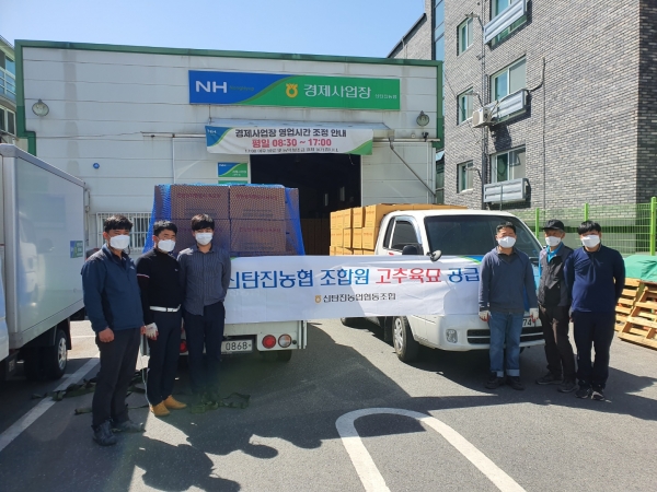 신탄진농협, 2021년 조합원 고추모 공급