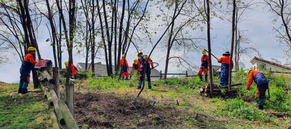 산림바이오매스 수집단 작업 현장 사진