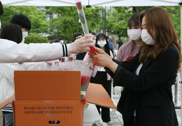 17일 정오 목원대 중앙도서관 앞에서 한 학생이 총학생회 관계자로부터 장미꽃을 전달받고 있다.